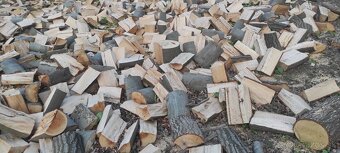 Palivové drevo tvrdé - 3