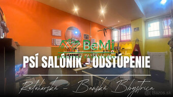 Odstúpenie - salónik - strihanie psíkov Sásová,Banská Bystri - 3