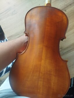 Viola - 3