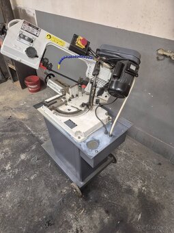 Pasova pila na kou - 3