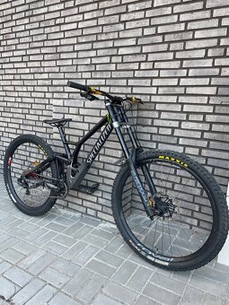 Specialized Demo - 3