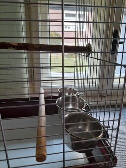 Klietka pre vtaky - 3