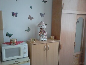 Predám garsonku v Rovinke - 3