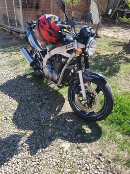 Predam suzuki gs 500 - 3
