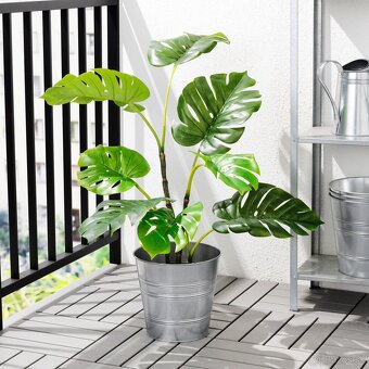 Umelá rastlina IKEA FEJKA - 3
