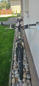 KELLYS QUARTZ 27.5 - 3
