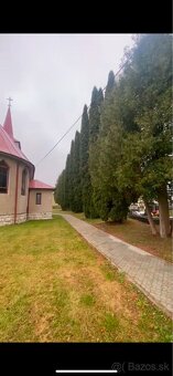 Výrub nebezpečných,rizikových stromov - 3