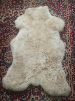 Ovčia kožušina - jahnňa - 3
