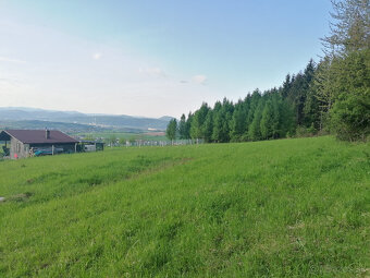 PREDÁM REKREAČNÝ POZEMOK POD LESOM VO VIŠŇOVOM - 3