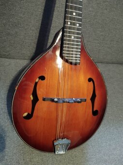 A-typ mandolína- celomasív - 3