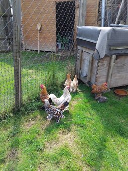 Sliepky milflerky - 3