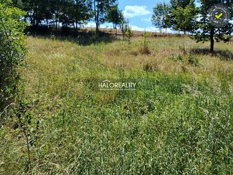 HALO reality - Predaj, pozemok pre rodinný dom 1158 m2 Hri - 3
