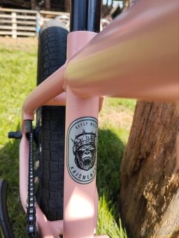 Befly bmx - 3