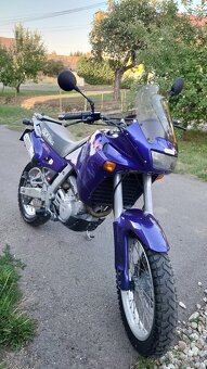 Aprilia Pegaso 650 - 3