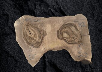 Predám orechové priečne rezy - 3