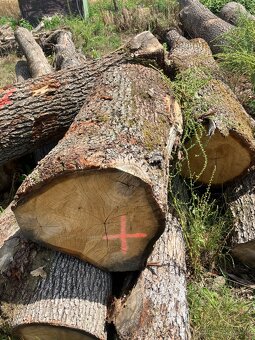 Dubovy pen=stol do exteriu - 3