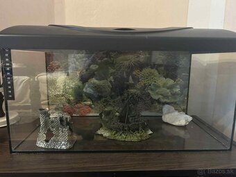 Akvarium a prislusenstvo k tomu - 3