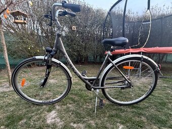 Kellys avenue 90’ - 3