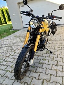 TRIUMPH SCRAMBLER 1100 - 3