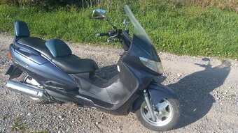 Suzuki - 3