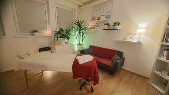 Profi masaz Banska Bystrica - 3
