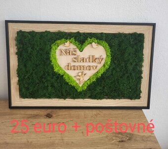 Predám machové  obrazy. - 3