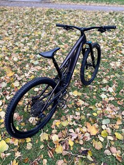 Specialized Stumpjumper EVO S4 (L) - 3