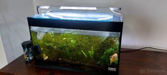 Aquarium 2x s príslušenstvom - 3