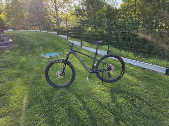 Predam hardtail - 3