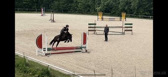 KRÁSNÁ KOBYLKA DO PONY SPORTU - možnost i na MČR - 3