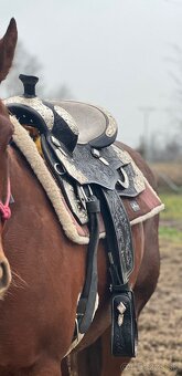 Westernové allaround sedlo - 3