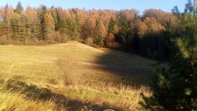 BRIEŠTIE- Hadviga lesný trávnatý pozemok 13 710 m2, vhodný n - 3