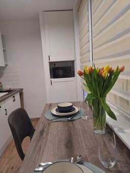 Prenájom 1 izbového bytu na sídlisku Západ 1 - Rezervovaný - 3