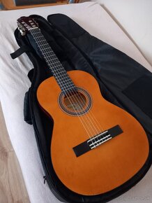 Gitara Valencia 3/4 velkost - 3