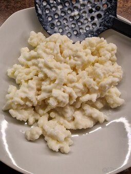 Predám kefirovu hubu - 3