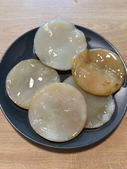 Kombucha – zdravá živá kultúra - 3