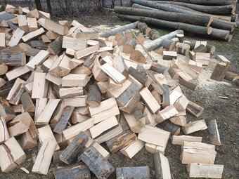 Palivové drevo-buk - 3