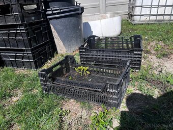 Plastové bedničky - 3