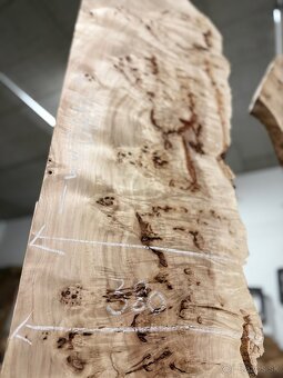 Očkový Topoľ XXL - Set na stôl - 3