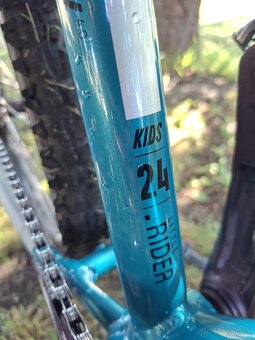CTM Rocky 4.0 24” – model 2024 - 3