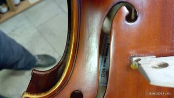 PREDAM OROFESIONALNU VIOLU - 3