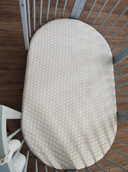 Rastúca postieľka sivá - 3