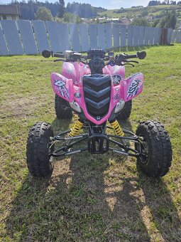 Yamaha raptor MT07 - 3