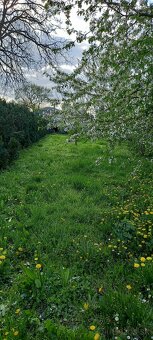 Predaj pozemku v Komárovciach - 3