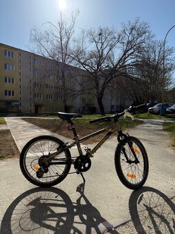 Kellys Lumi 90 (20”) - 3