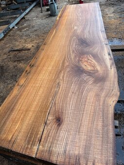 Rezivo Brest Brestove Fošne Kmene Drevo - 3