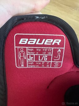 Bauer chranice laktov - 3