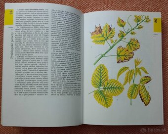 Atlas chorôb a škodcov ovocných drevín a viniča - 3