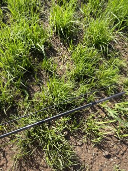 DAIWA Caldia Light Spin 1,95m 1-6g - 3