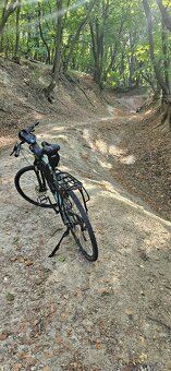 Kellys Phanatic 10 - 3